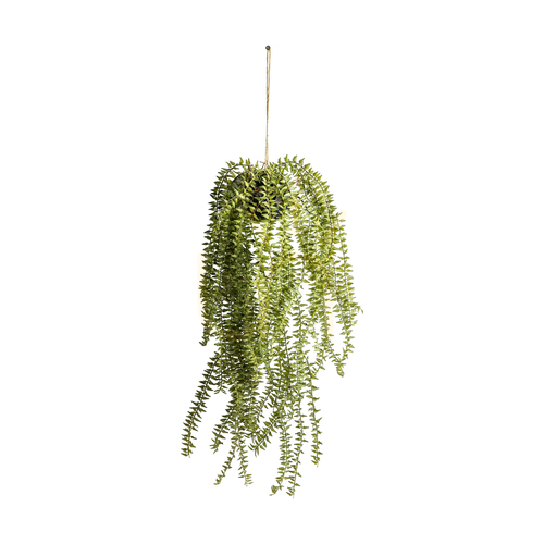 Kontrola Závěsná umělá přeslička kaktusová Gallery Direct zelená 58 cm