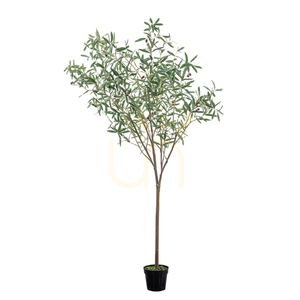 Umělý olivovník Gallery Direct zelený 202 cm 5059413698637 0 Umělý olivovník Gallery Direct zelený 202 cm 5059413698637 small 0