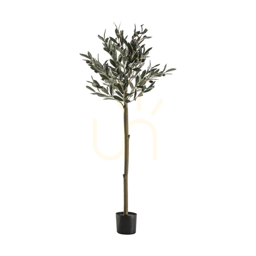 Kontrola Umělý olivovník Gallery Direct zelený 121 cm