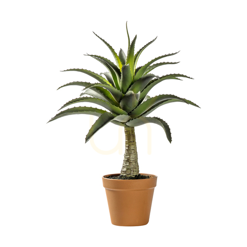 Kontrola Umělá agáve v květináči Gallery Direct zelená 57 cm