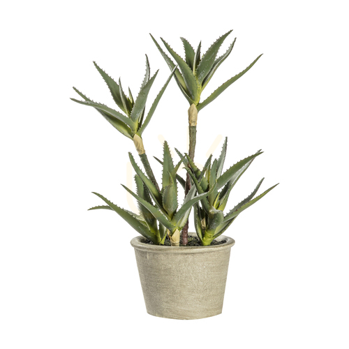 Kontrola Umělá aloe v květináči Gallery Direct 38 cm zelená