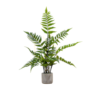 Umělá kapradina v keramickém květináči Gallery Direct 71 cm krémová/zelená 0 Umělá kapradina v keramickém květináči Gallery Direct 71 cm krémová/zelená small 0