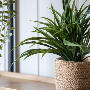 Umělá divoká tráva Gallery Direct v zemní kouli zelená 33 cm small 2