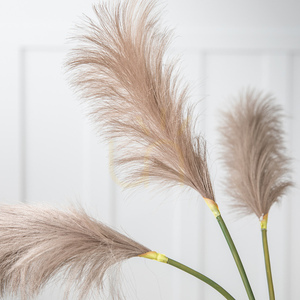 Dekorační umělý stonek Gallery Direct Goma Soft Feather hnědý 72 cm 5 ks small 2