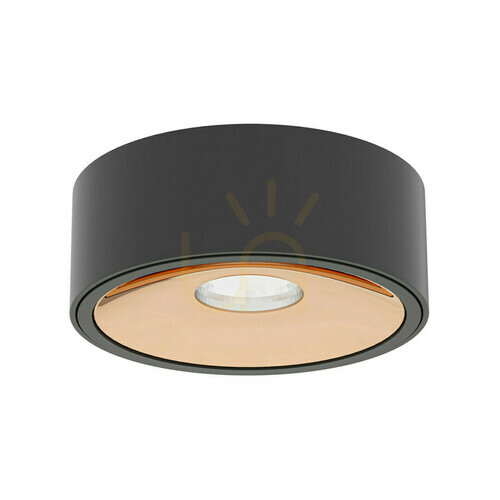 Kontrola Stropní LED svítidlo Neo Open Design Highlights černá/zlatá 10W 3000K