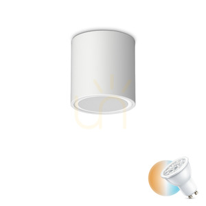 Venkovní stropní svítidlo Ideal Lux Techo PL1 Round D09 bílé GU10 318127 small 0