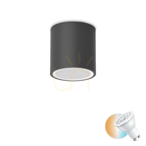 Kontrola Venkovní stropní svítidlo Ideallux TECHO PL1 Round černé GU10 318141