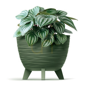 Mrazuvzdorný květináč Prosperplast Furu světle šedý 5 l 23,6 cm DFUR240-443U small 1
