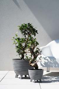 Mrazuvzdorný květináč Prosperplast Furu světle šedý 5 l 23,6 cm DFUR240-443U small 3