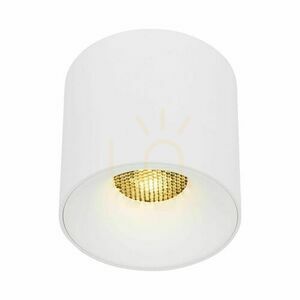Blaze White Cct 30 W small 4