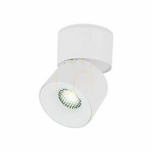 Spark White Cct 10 W small 5