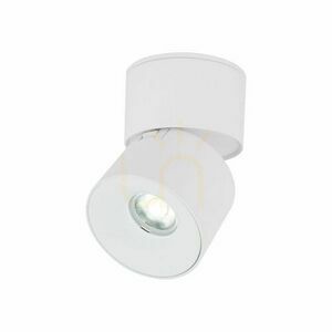 Spark White Cct 10 W small 6