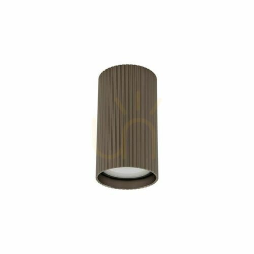 Kontrola Tune Brown S 1 Xgu10