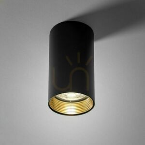 Amis Black Downlight small 4