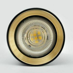 Amis Black Downlight small 6