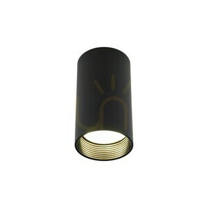 Amis Black Downlight small 8