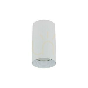 Amis White Downlight small 1