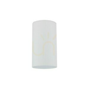 Amis White Downlight small 11