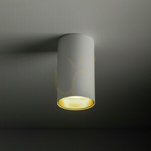 Amis White Downlight small 2