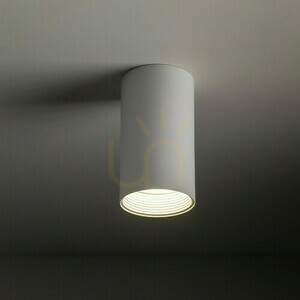 Amis White Downlight small 3