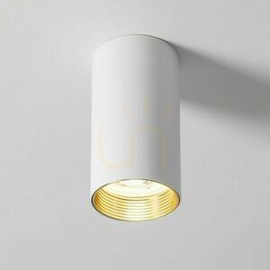 Amis White Downlight small 4