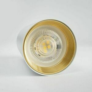Amis White Downlight small 5