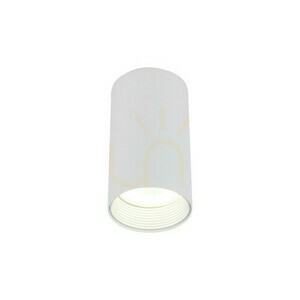 Amis White Downlight small 8