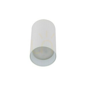 Amis White Downlight small 9