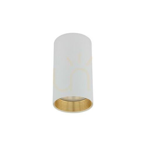 Kontrola Amis White Downlight