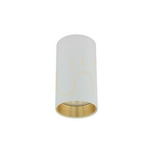 Amis White Downlight small 0