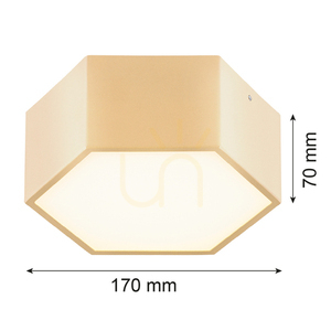 Plafon ARGON LIBERO 8808 LED 1150 lm zlatý IP20 small 2