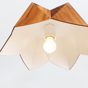 Teakové závěsné svítidlo Quintiesse PHYSALIS QN-PHYSALIS-P-M-TEAK 1×E27 Ø46 cm small 3