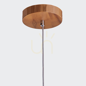 Teakové závěsné svítidlo Quintiesse PHYSALIS QN-PHYSALIS-P-M-TEAK 1×E27 Ø46 cm small 4