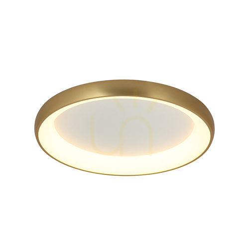 Kontrola Stropní LED světlo Zambelis 50W 3000K zlatý matný kartáčovaný 60 cm, stmívatelné