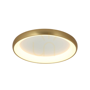 Stropní LED světlo Zambelis 50W 3000K zlatý matný kartáčovaný 60 cm, stmívatelné small 0