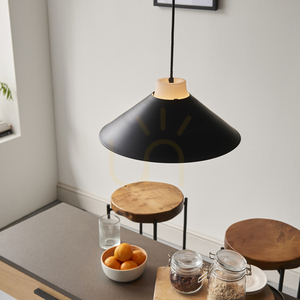 Závěsné svítidlo Endon Tokyo 95430, černé, ocel a sklo, Ø38 cm, E27 small 5