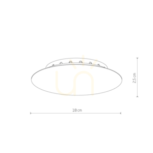 Stropní krytka CAMELEON CANOPY A MINI kartáčované zlato Ø18 cm Nowodvorski 12061 small 1
