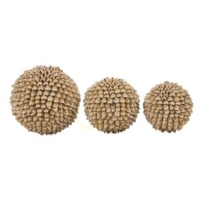 Mušlový ples Oluolu S 9 cm dekorace small 6