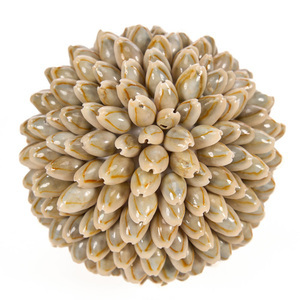 Dekorativní koule z mušlí Bazar Bizar Oluolu Shell Ball M, Ø 11 cm, bílá small 2