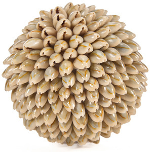 Dekorativní koule z mušlí Bazar Bizar Oluolu Shell Ball M, Ø 11 cm, bílá small 6