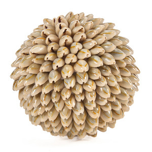 Dekorativní koule z mušlí Bazar Bizar Oluolu Shell Ball M, Ø 11 cm, bílá small 8