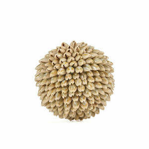 Dekorativní koule z mušlí Bazar Bizar Oluolu Shell Ball M, Ø 11 cm, bílá small 0