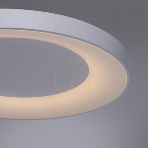 Stropní LED svítidlo Anika 14327-16 bílé 60 W 2700-5000 K stmívatelné s dálkovým ovladačem 70 cm small 8