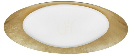 Kontrola LED stropní svítidlo Luces Exclusivas AVILA LE41580 50 cm bílo-zlaté