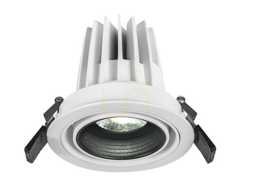 Kontrola ZALAMEA Luces Exclusivas Stropní čočka LE61349
