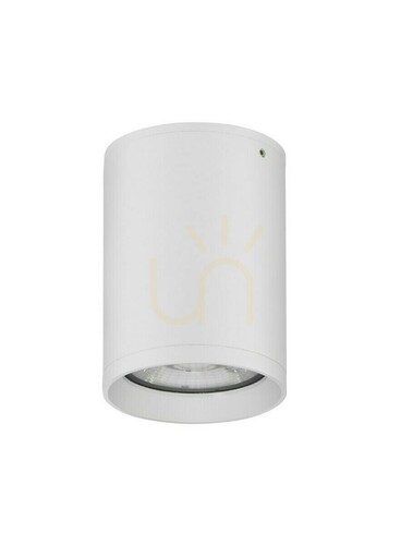 Kontrola ADALIA Luces Exclusivas Outdoor Plafonds LE73538