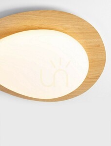Plafón ISIDRO Luces Exclusivas LE44417 small 1