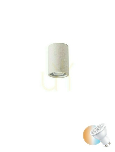 Kontrola MIRENZO Luces Exclusivas Outdoor Plafonds LE75181