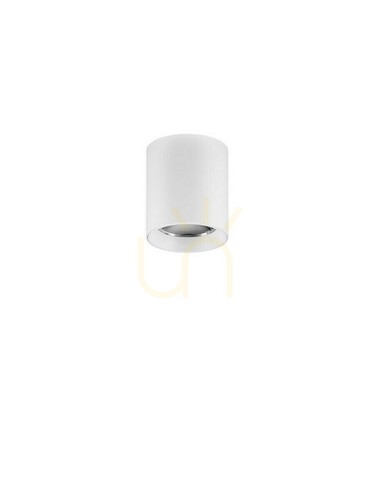 Kontrola Stropní svítidlo Luces Exclusivas BARBAD bílé LED 10 W LE45920