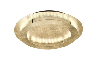 Zlaté LED stropní svítidlo Paul Neuhaus NEVIS 9621-12 50 cm small 1